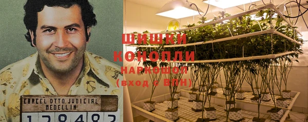 мдпв Пересвет